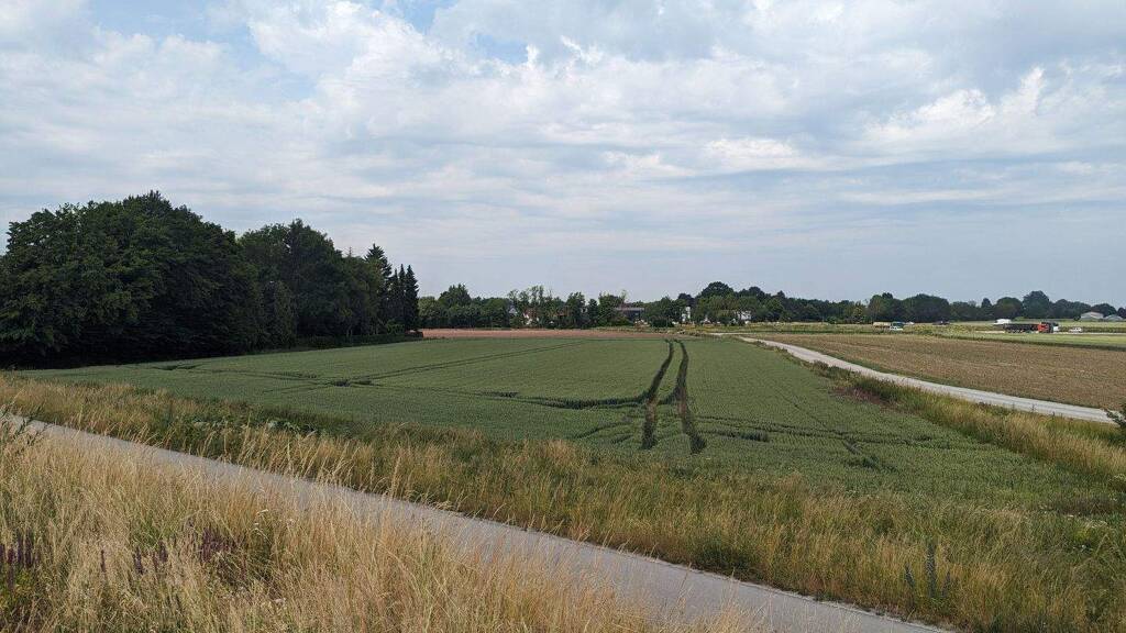 Land-/Forstwirtschaft zum Kauf provisionsfrei 157.000 € 6.280 m² Grundstück Hornstorf Straubing 94315