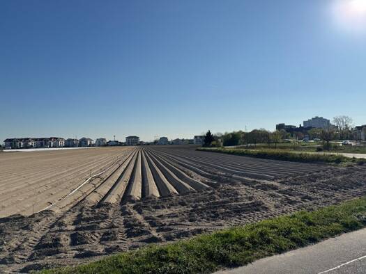 Land-/Forstwirtschaft zum Kauf 410.000 € 2.370 m² Grundstück Limburgerhof 67117