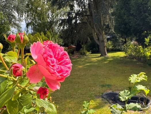 Haus zum Kauf 208.000 € 5 Zimmer 134 m² 613 m² Grundstück frei ab sofort Obermeiderich Duisburg 47138