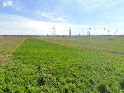 Landwirtschaftliche Fläche zum Kauf 126.500 € 19.048 m² Grundstück Petronell-Carnuntum 2404