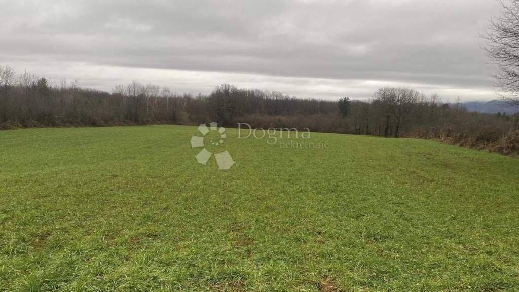 Land-/Forstwirtschaft zum Kauf 26.000 € Gospic