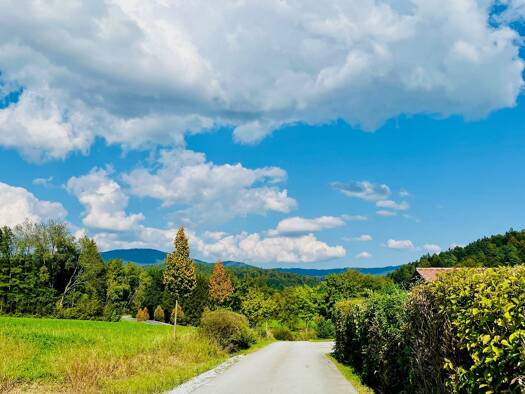 Reiterhof zum Kauf 160.000 m² 160.000 m² Grundstück Schwarzach Hengersberg 94491