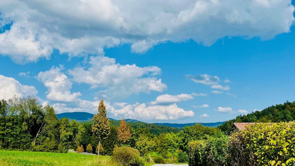 Reiterhof zum Kauf 160.000 m² 160.000 m² Grundstück Schwarzach Hengersberg 94491