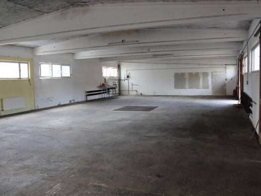Lagerhalle zur Miete 2.200 € 600 m² Lagerfläche teilbar ab 300 m² Büdesheim Bingen 55411