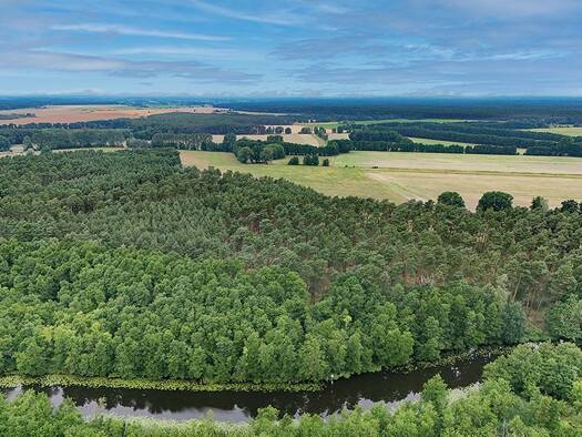 Land-/Forstwirtschaft zum Kauf 890 € 1.268 m² Grundstück Wolzig Heidesee 15754