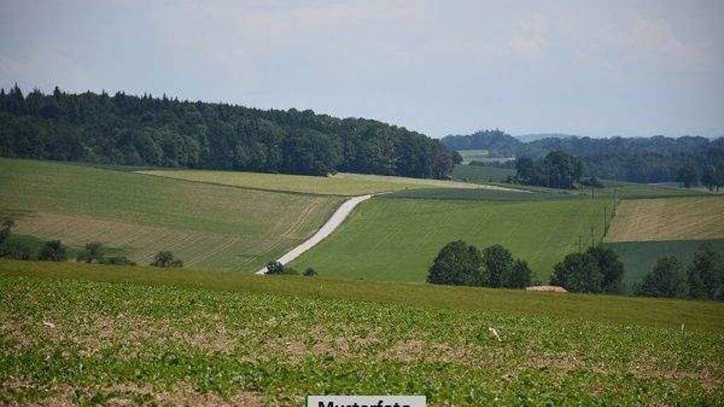 Land-/Forstwirtschaft zum Kauf 2.800 € 757 m² Grundstück Dromersheim 55411