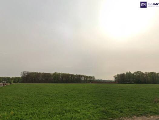 Grundstück zum Kauf 1.099.000 € 9.787 m² Grundstück Elfenweg Leibnitz 8430