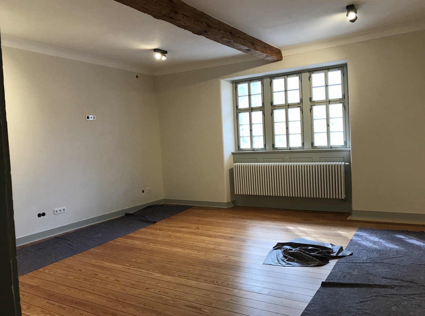 Bürofläche zur Miete provisionsfrei 425 € 39 m²<br/>Bürofläche Curtigasse 6 Umstadt Groß-Umstadt 64823