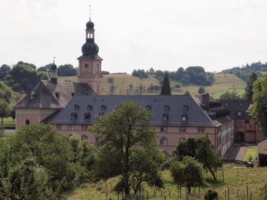 Haus zum Kauf provisionsfrei 4.400 m² 35.769 m² Grundstück Karmelitenstrasse Springiersbach Bengel 54538