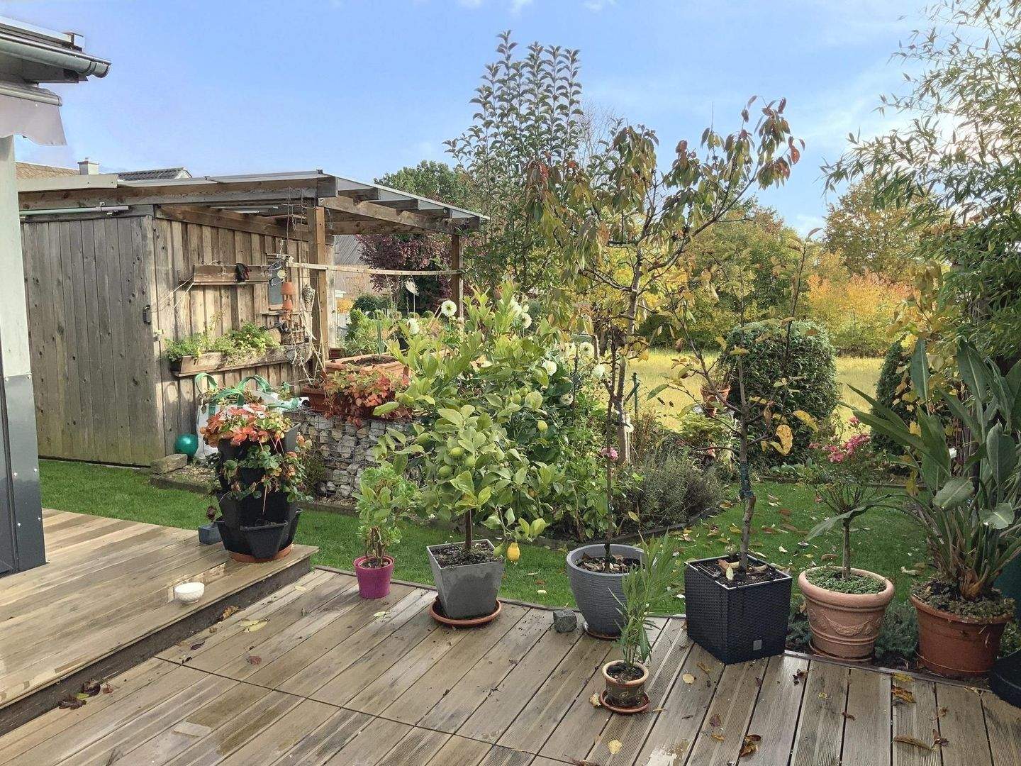 Immobilie in Tirschenreuth - Modernes Reiheneckhaus in Kleinklenau bei Tirschenreuth - Bild 2