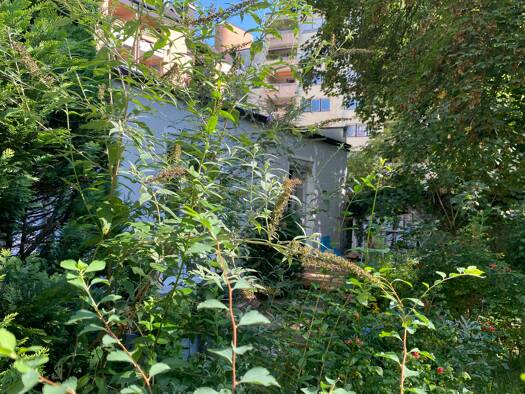 Terrassenwohnung zur Miete 790 € 1 Zimmer 38 m² EG frei ab 01.09.2026 Fichtestr. Gärten b Wöhrd Nürnberg 90489