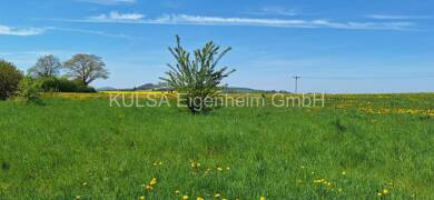 Grundstück zum Kauf provisionsfrei 89.000 € 730 m² Grundstück In der Aue 0 Barchfeld Barchfeld-Immelborn 36456