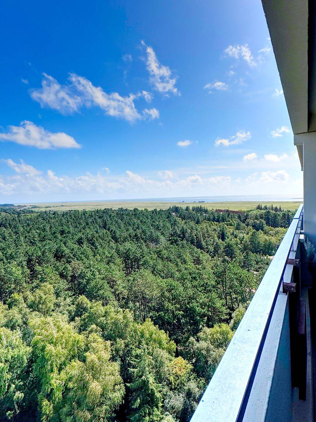 Property thumbnail 12