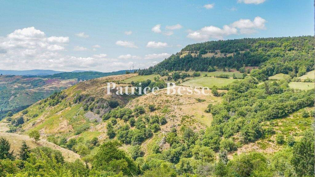 Reihenmittelhaus zum Kauf 330.000 € 12 Zimmer 170 m² 90 m² Grundstück Florac Trois Rivières 48400