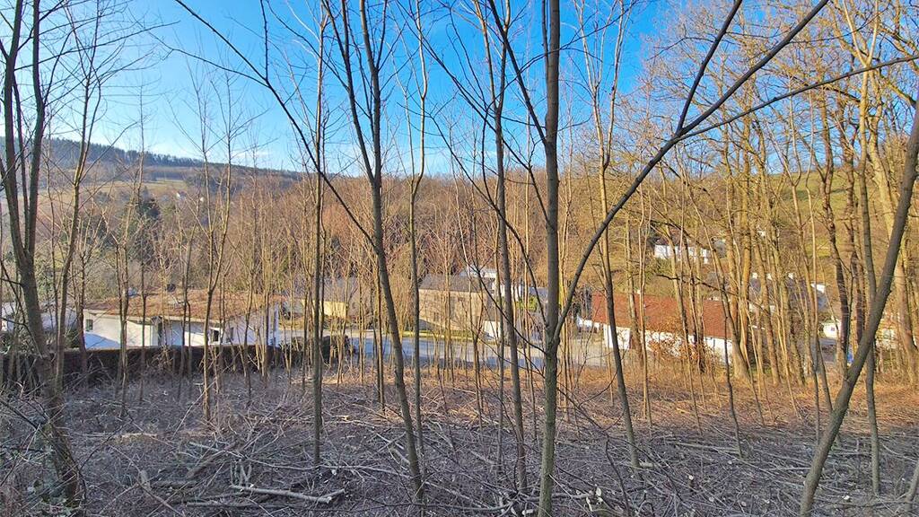 Grundstück zum Kauf 420.000 € 3.956 m² Grundstück Irenental 3011