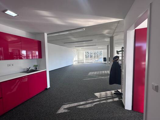 Büro zur Miete provisionsfrei 1.100 € 1 Zimmer 150 m² Bürofläche Schramberg 78713