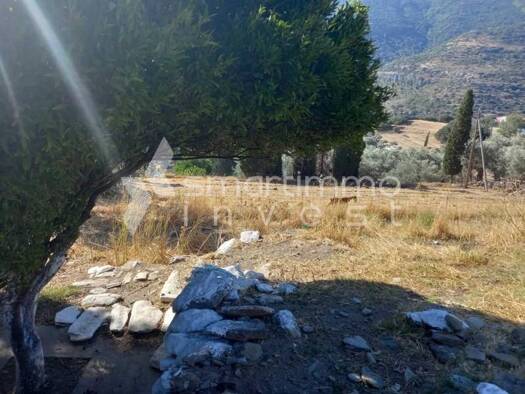 Land-/Forstwirtschaft zum Kauf 220.000 € Municipality of Andros 845 00