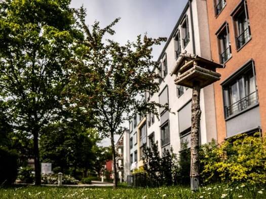 Wohnung zur Miete 590 € 1 Zimmer 28,3 m² EG frei ab sofort Alte Reichenbacher Straße 84 Chrieschwitz Plauen 08529