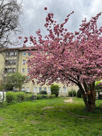 Wohnung zur Miete 789 € 4 Zimmer 84,4 m² 3. Geschoss Heeper Straße 280 Innenstadt Bielefeld 33607