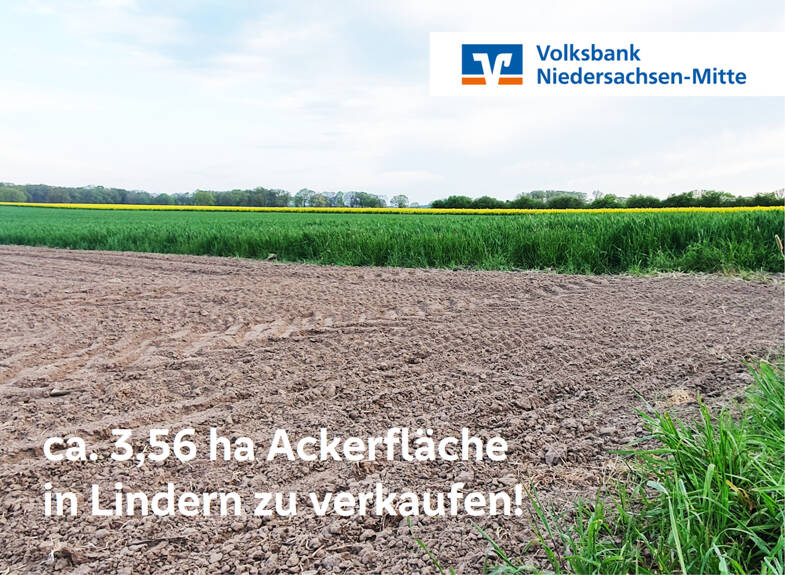 Land-/Forstwirtschaft zum Kauf 35.611 m² Grundstück Sulingen Sulingen / Lindern 27232