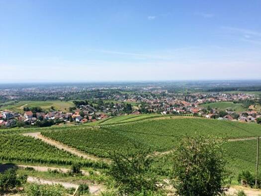 Haus zum Kauf 4 Zimmer 187 m² 4.883 m² Grundstück frei ab sofort Zell-Weierbach Offenburg 77654