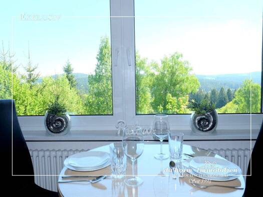 Wohnung zum Kauf 128.000 € 2 Zimmer 36 m² 3 Geschosse frei ab sofort Bärental Feldberg 79868