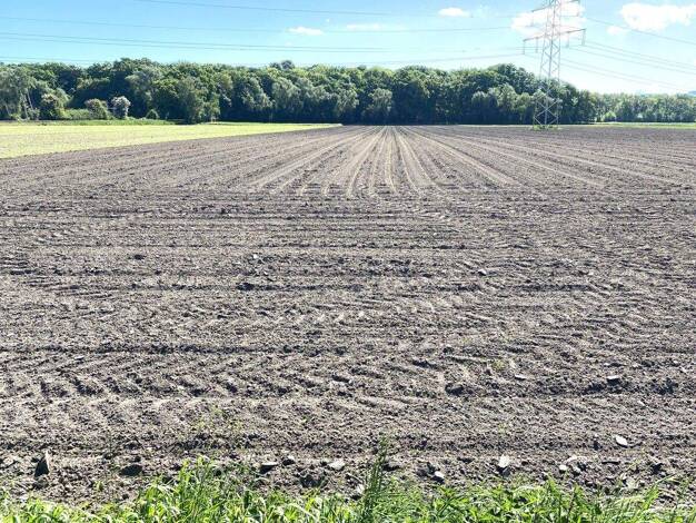 Land-/Forstwirtschaft zum Kauf 470.000 € 101.455 m² 101.455 m² Grundstück Meißen Minden 32423