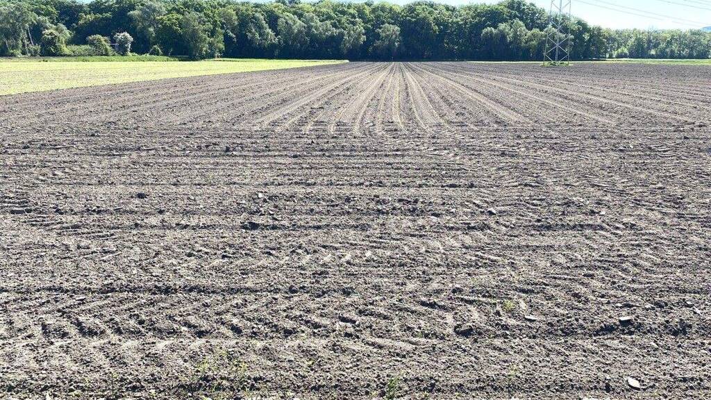 Land-/Forstwirtschaft zum Kauf 470.000 € 101.455 m² 101.455 m² Grundstück Meißen Minden 32423