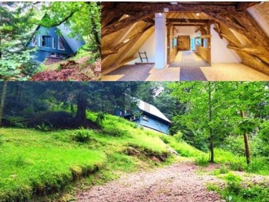 Haus zum Kauf 400.000 € 3 Zimmer 150 m² 4.743 m² Grundstück Lauterbach 78730