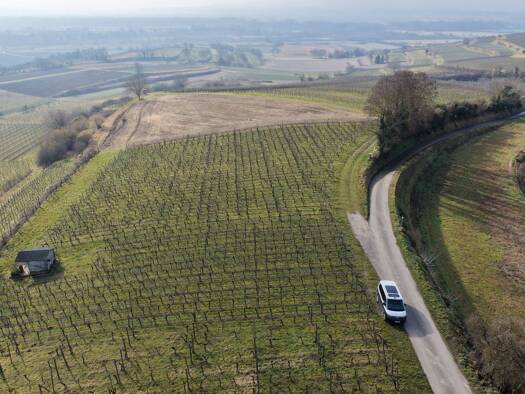 Land-/Forstwirtschaft zum Kauf 6.286 m² Grundstück Teningen Teningen / Köndringen 79331