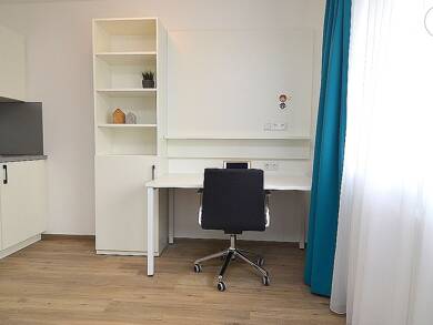Wohnung zur Miete Wohnen auf Zeit 619 € 1 Zimmer 22 m² frei ab 01.09.2025 Aschaffenburg 63739