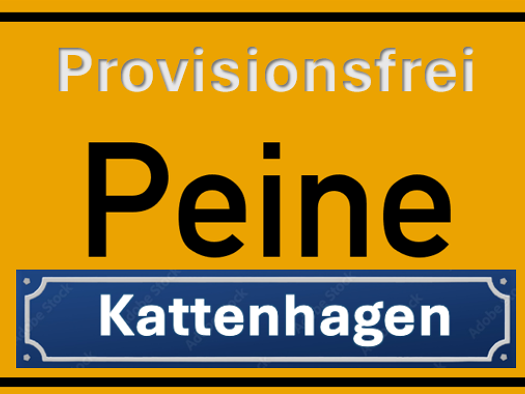 Haus zum Kauf 479.000 € 7 Zimmer 165 m² 769 m² Grundstück Kattenhagen 8 Kernstadt Nord Peine 31224