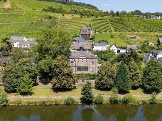 Haus zum Kauf 11 Zimmer 440 m² 2.700 m² Grundstück Traben Traben-Trarbach 56841