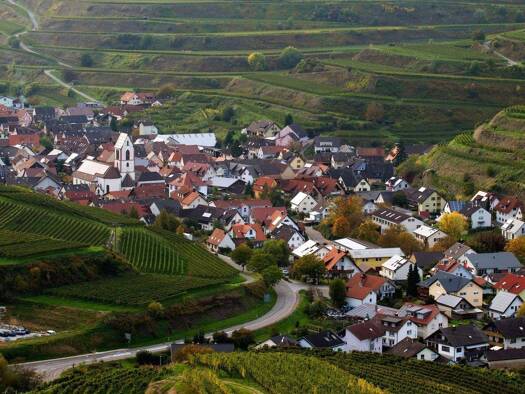 Grundstück zum Kauf 249.000 € 691 m² Grundstück Oberbergen Vogtsburg i.K. 79235