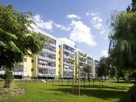 Wohnung zur Miete 432 € 3 Zimmer 57,6 m² 1. Geschoss frei ab 01.11.2026 Werner-Seelenbinder-Straße 4 Reform Reform 39118