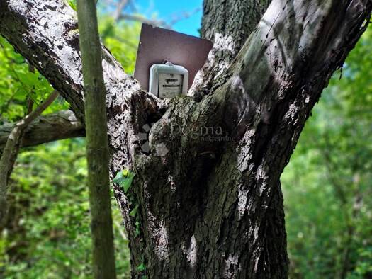Acker-/Waldstück zum Kauf 32.500 € Dugo Selo Lasinjsko, Gvozd Dugo Selo Lasinjsko 44410