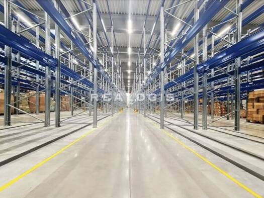 Halle/Industriefläche zur Miete 6.500 m² Lagerfläche teilbar ab 4.500 m² Gremsdorf Gremsdorf 91350