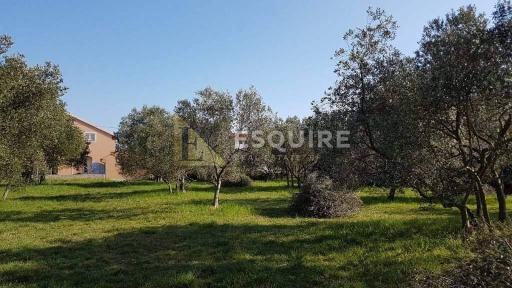 Land-/Forstwirtschaft zum Kauf 307.000 € Sukosan Sukosan