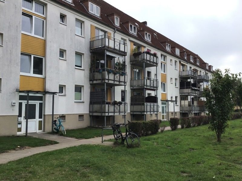 Wohnung zur Miete 580 € 2,5 Zimmer 49,8 m²<br/>Wohnfläche 1.<br/>Geschoss 04.10.2024<br/>Verfügbarkeit Knud-Rasmussen-Str. 60 Marli / Brandenbaum Lübeck 23566