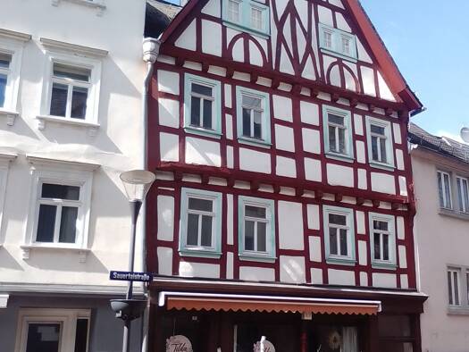 Wohnung zur Miete 795 € 1,5 Zimmer 40 m² Geschoss 1/3 frei ab sofort Montabaur Montabaur 56410