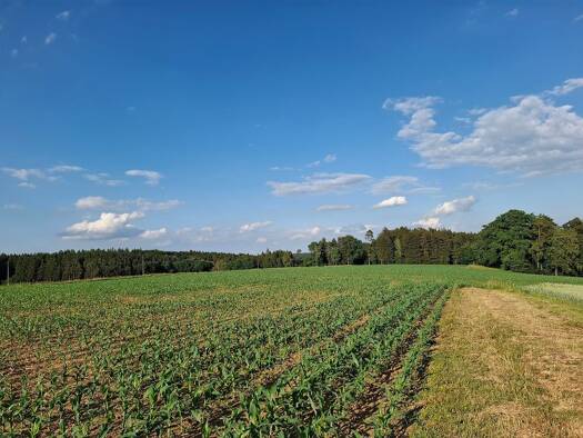 Landwirtschaftliche Fläche zum Kauf 84.243 m² Grundstück Eck Kröning 84178