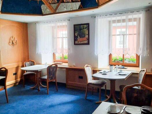 Hotel zum Kauf 320.000 € 25 Zimmer 1.100 m² Gastrofläche 1.660 m² Grundstück Zeulenroda Zeulenroda-Triebes 07937