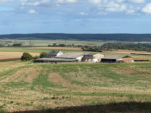 Bauernhof zum Kauf 875.000 € 15.000 m² Grundstück Ober-Hörgern Münzenberg - Münzenberg 35516