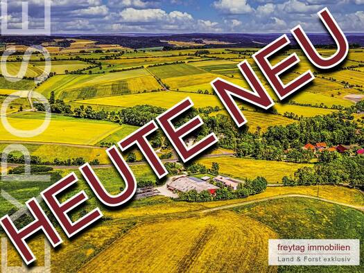 Bauernhaus zum Kauf 950.000 € 8 Zimmer 206 m² 370.000 m² Grundstück Renda Ringgau 37296