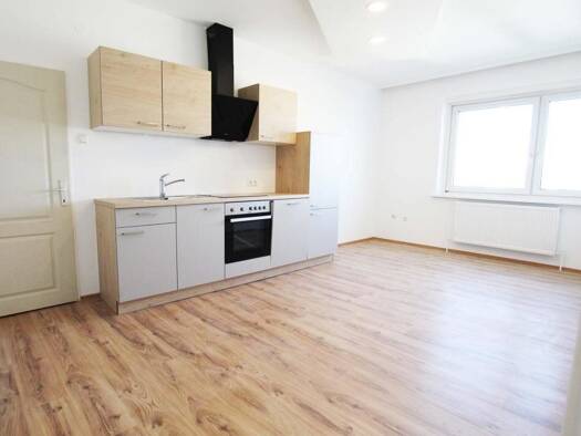 Wohnung zum Kauf 149.000 € 3 Zimmer 64,7 m² Wels Wels 4600
