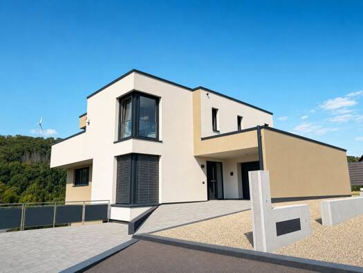 Einfamilienhaus zum Kauf 1.210.000 € 7 Zimmer 247 m² 1.122 m² Grundstück Metzdorf Langsur 54308