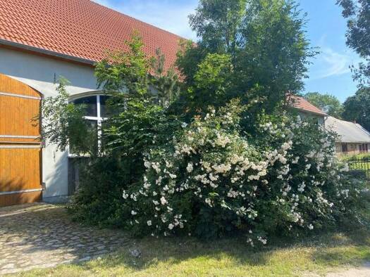 Haus zum Kauf 150.000 € 4 Zimmer 200 m² 1.200 m² Grundstück Konsages Groß Polzin 17390