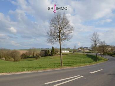 Grundstück zum Kauf 64.740 € 1.079 m² Grundstück Dauwelshausen 54673