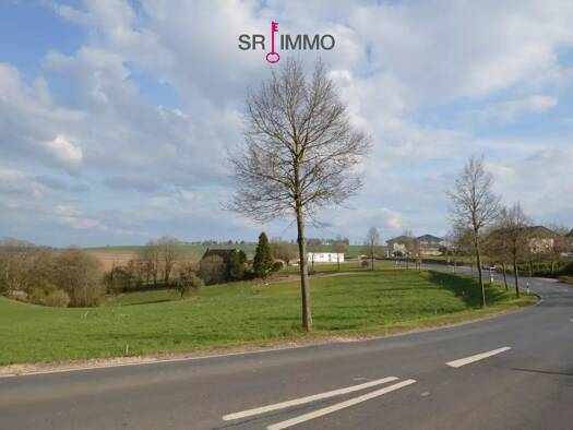 Grundstück zum Kauf 64.740 € 1.079 m² Grundstück Dauwelshausen 54673