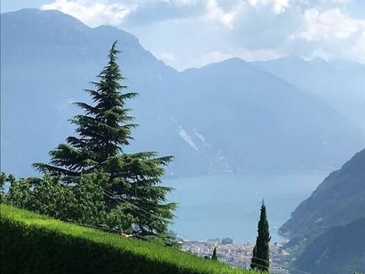 Wohnung zum Kauf 228.000 € 3 Zimmer 90 m² EG frei ab sofort Riva del garda 38066